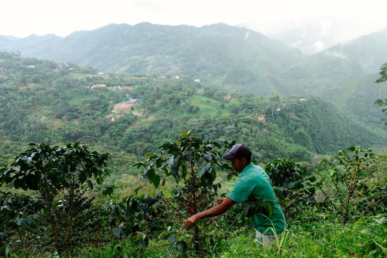 Ecohotel Monteverde La Vega  Eksteriør billede