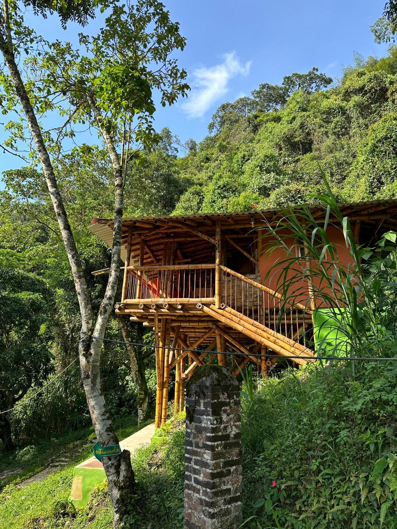 Ecohotel Monteverde La Vega  Eksteriør billede