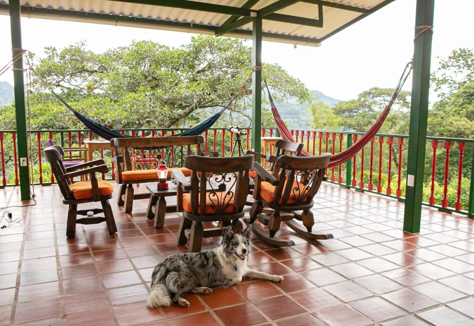 Ecohotel Monteverde La Vega  Eksteriør billede