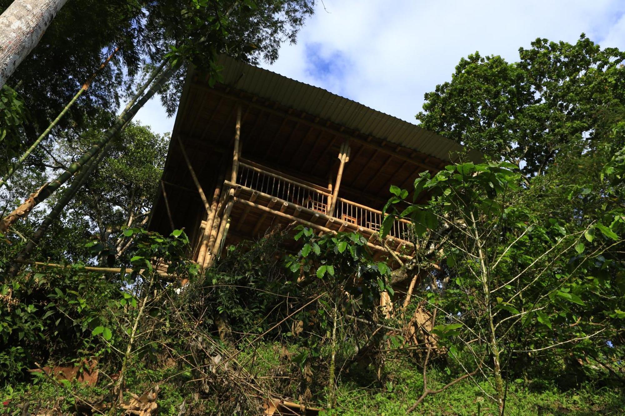 Ecohotel Monteverde La Vega  Eksteriør billede
