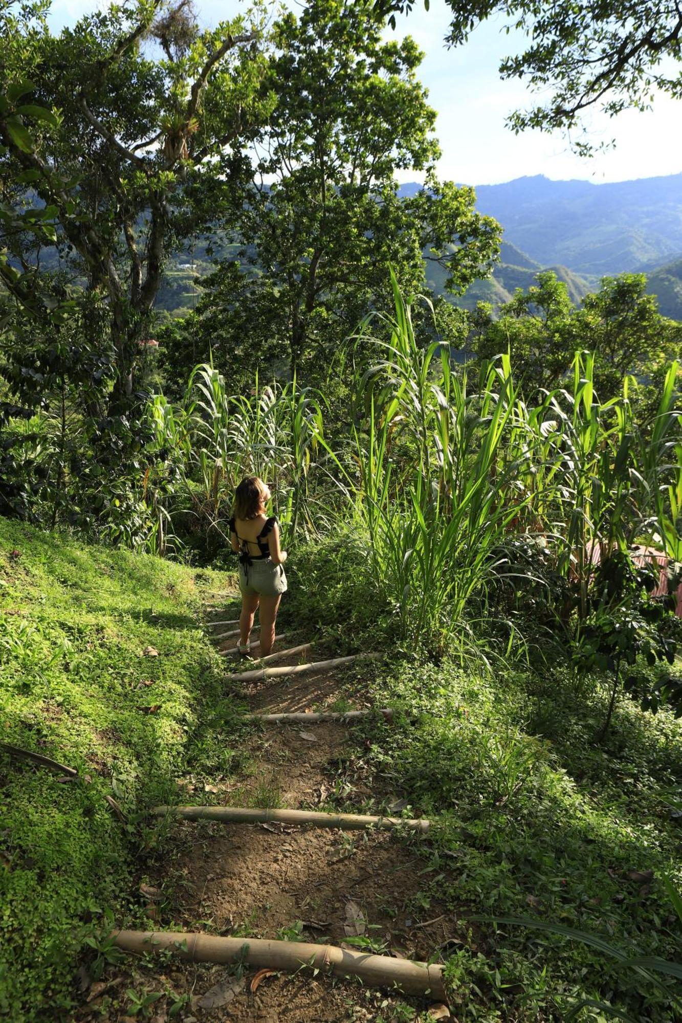 Ecohotel Monteverde La Vega  Eksteriør billede