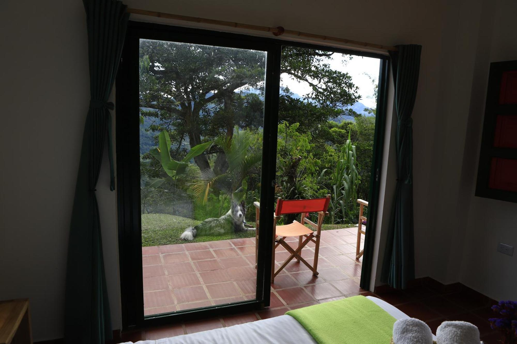 Ecohotel Monteverde La Vega  Eksteriør billede